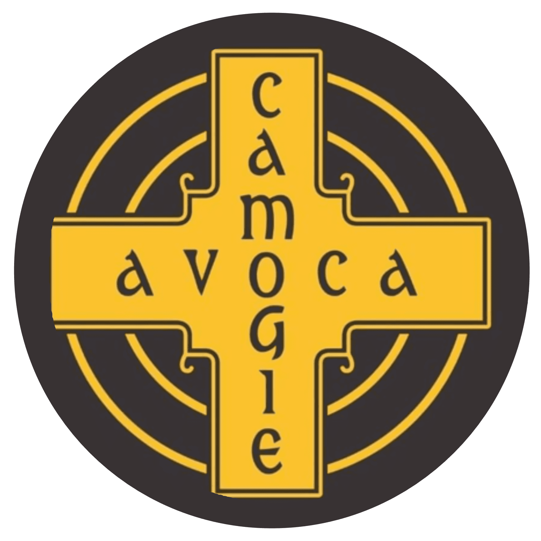 Avoca Camogie Bill Hill Wicklow